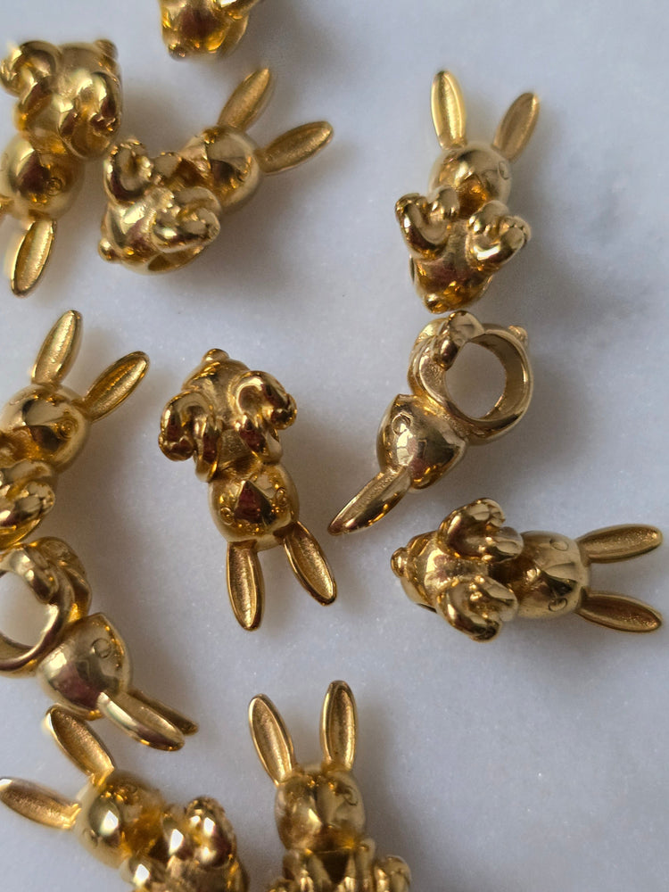 ACCESORIOS