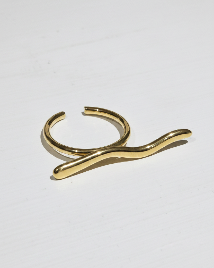 Anillo onda