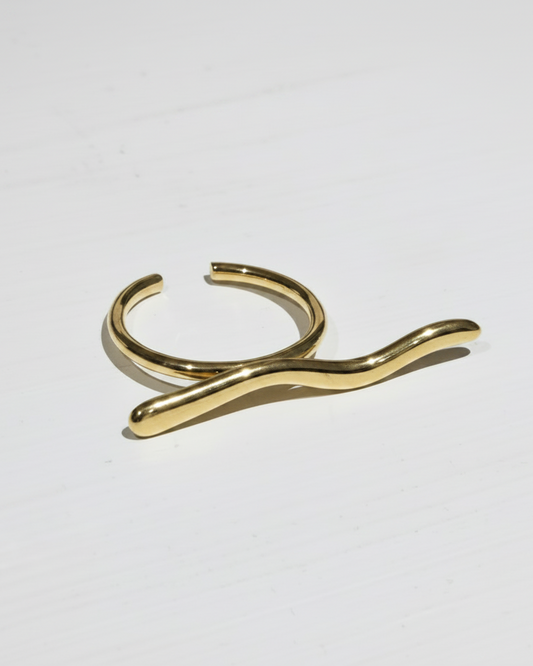Anillo onda