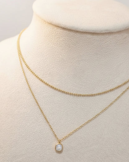 Collar Gratitude