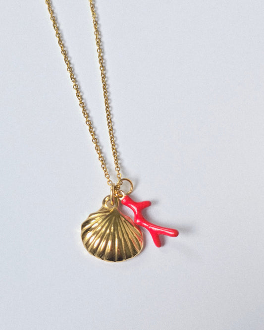 Collar Conchita