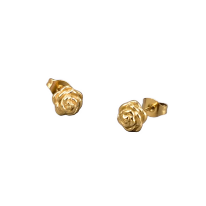 Aretes Biela