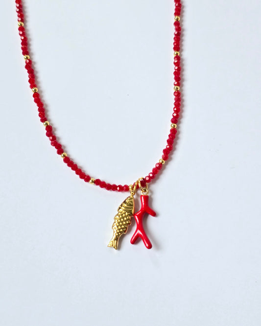 Collar pez / coral