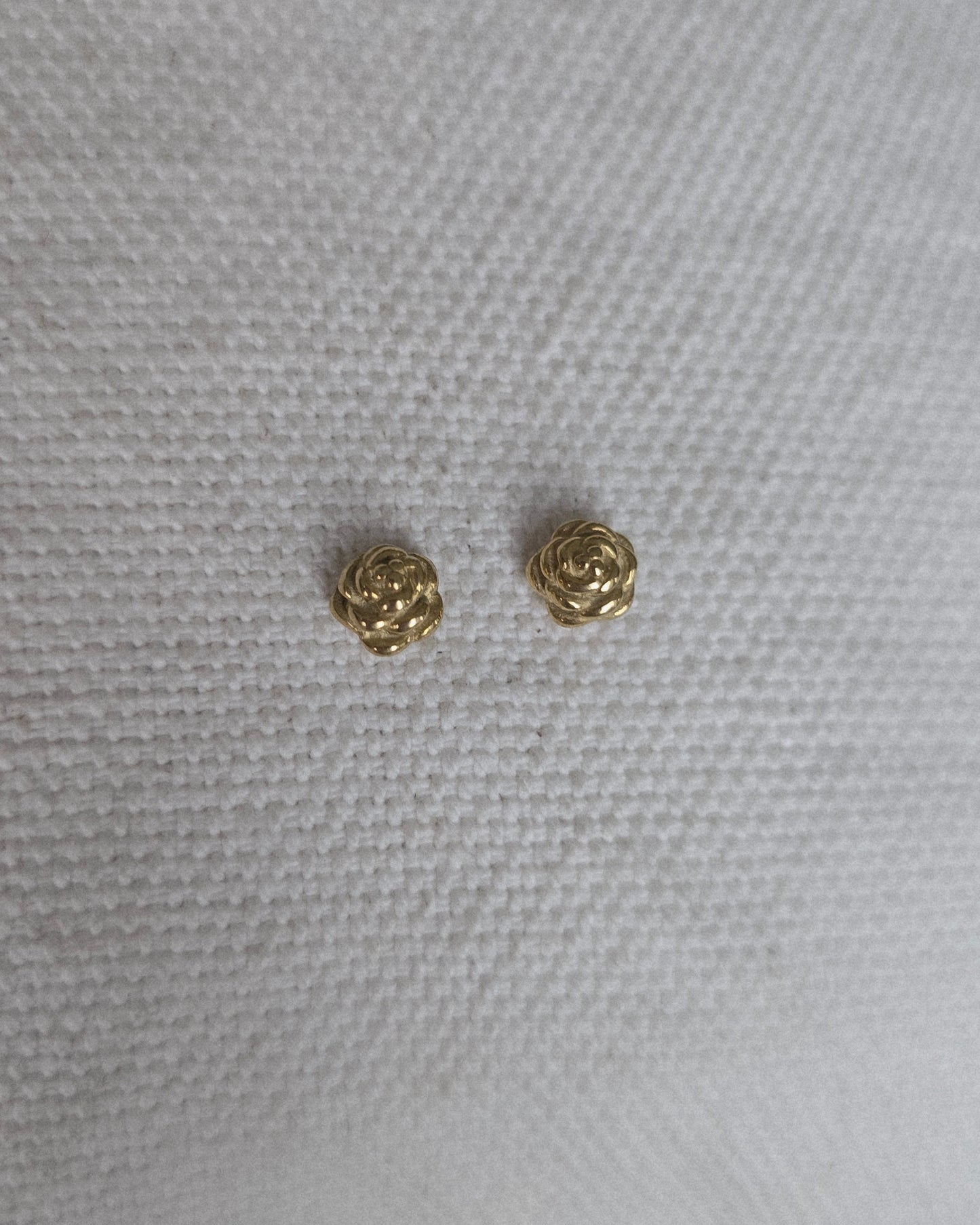 Aretes Biela