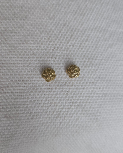 Aretes Biela