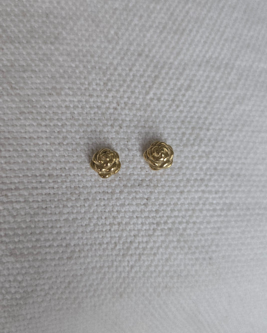 Aretes Biela