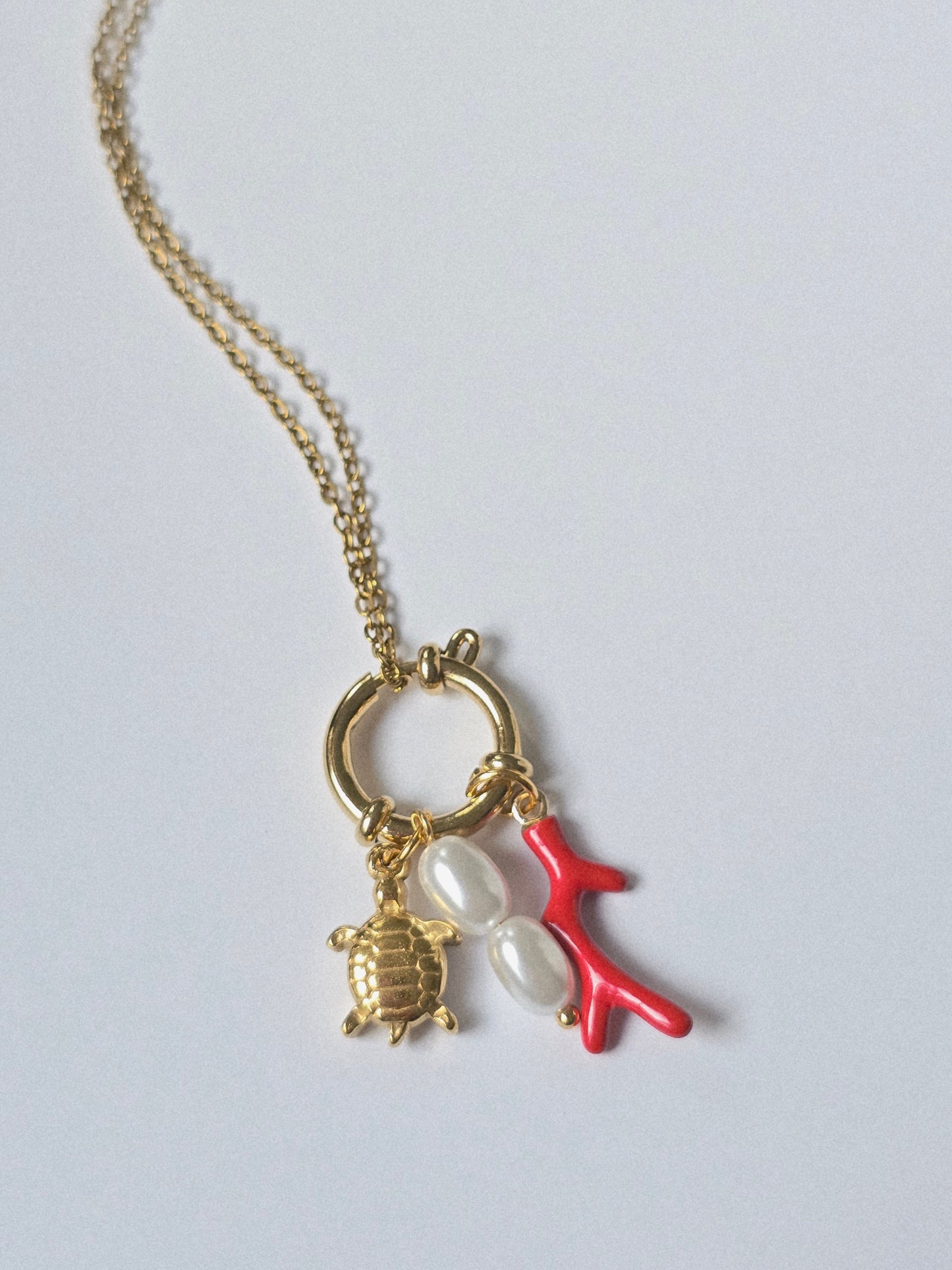 Collar Tortuga