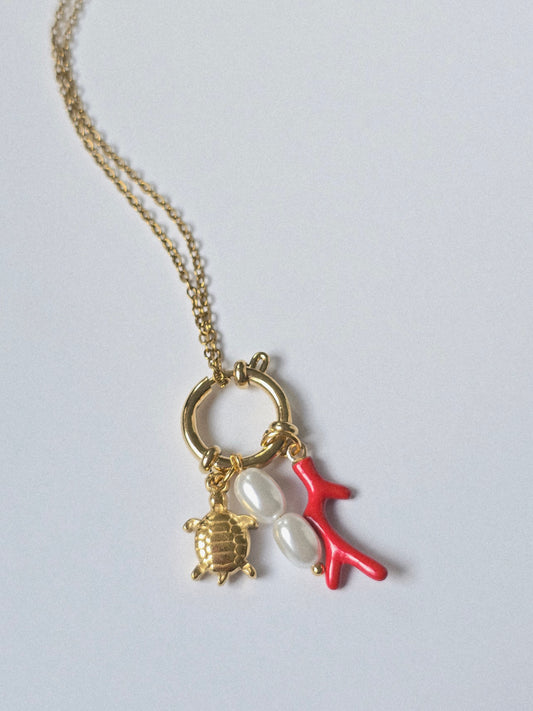 Collar Tortuga